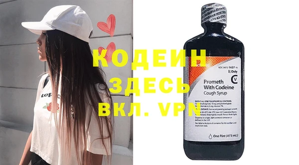 мдпв Богородск