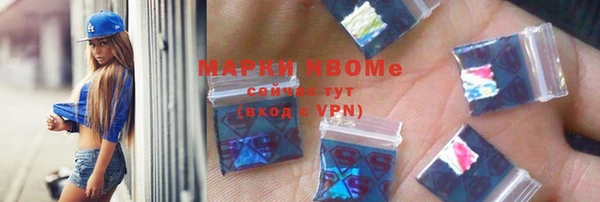 мдпв Богородск