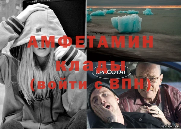 тгк Богданович