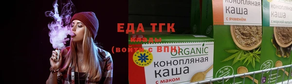 МДПВ Пересвет