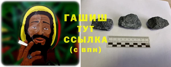 мдпв Богородск