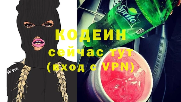мдпв Богородск