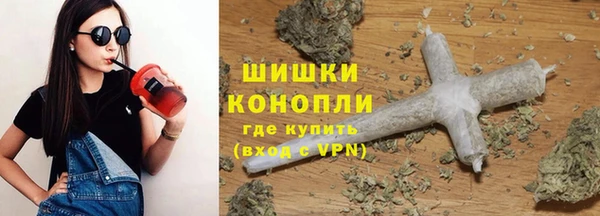 тгк Богданович